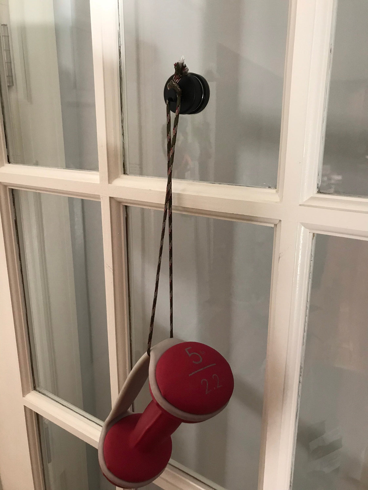 Strength test: a 5 lb dumbbell hanging from the magnetic hook on a glass French door