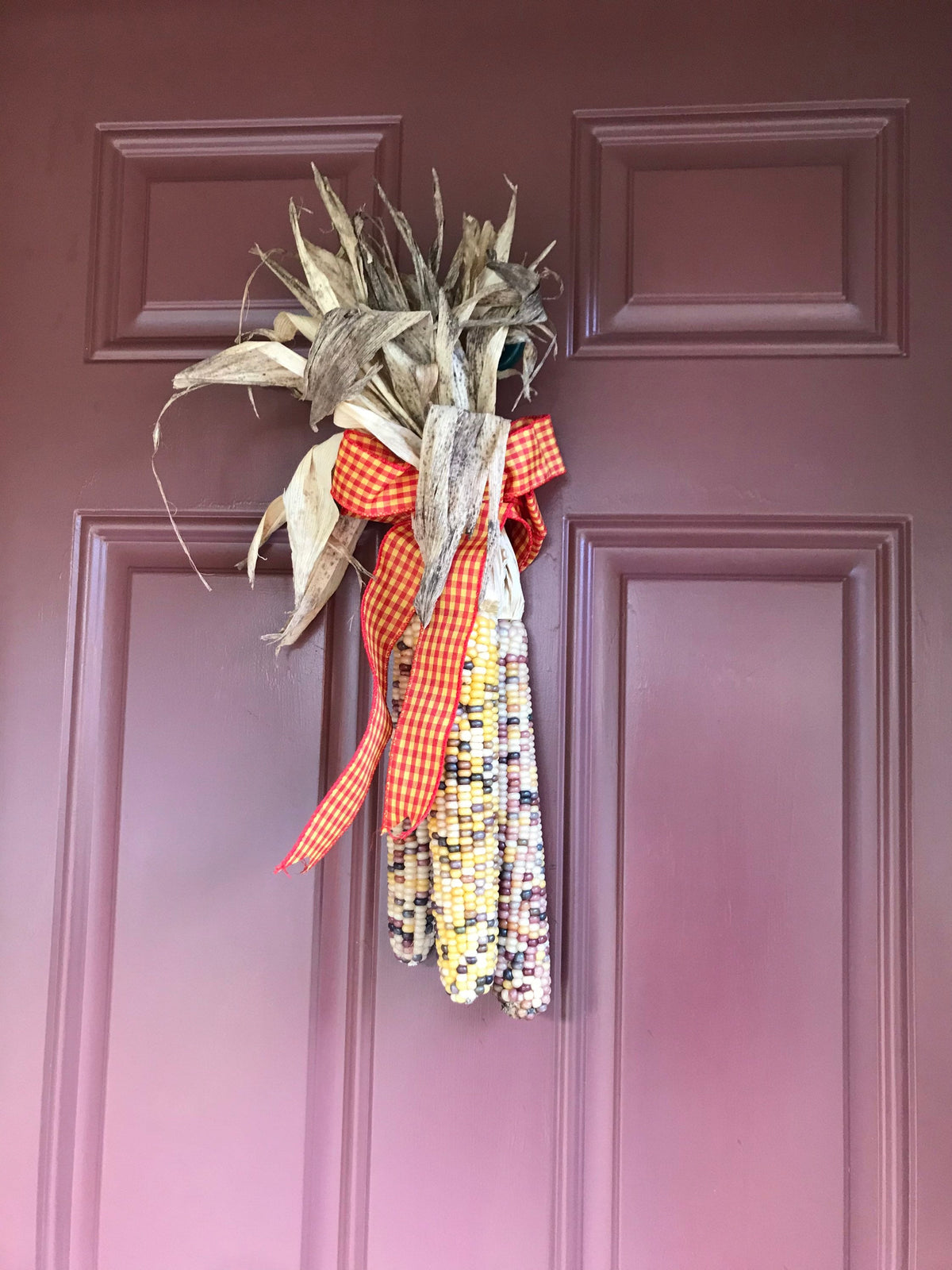 Bundle of Indian corn with a plaid ribbon hanging on a steel front door from the magnetic hook